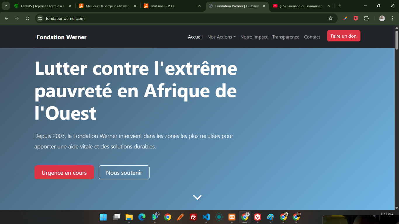 Site institutionnel pour ONG Fondation Werner